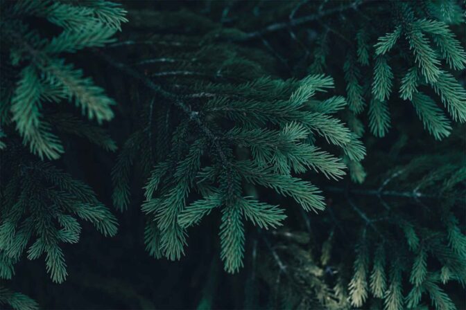 How Local Communities Can Lead the Fight Against Waste